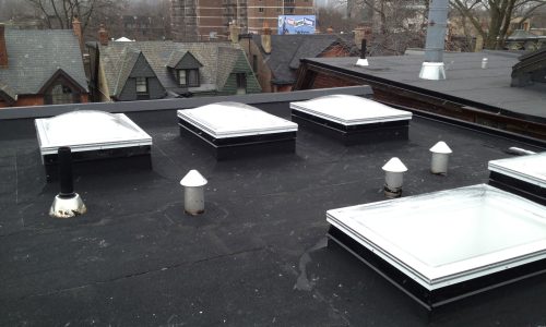 Double Dome Skylights 2