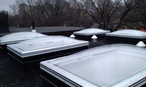 Double Dome Skylights 3