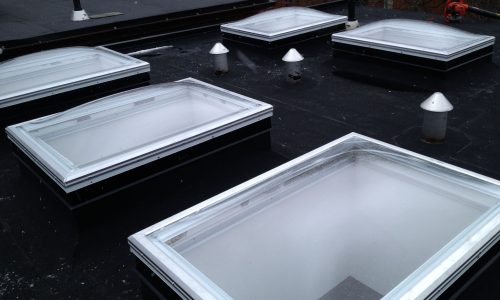 Double Dome Skylights 4