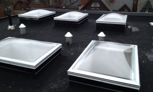 Double Dome Skylights