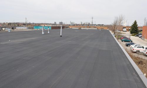 Flat Roof (4)