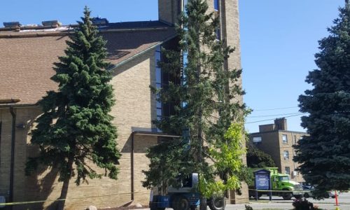 IMG-20180710-WA0009